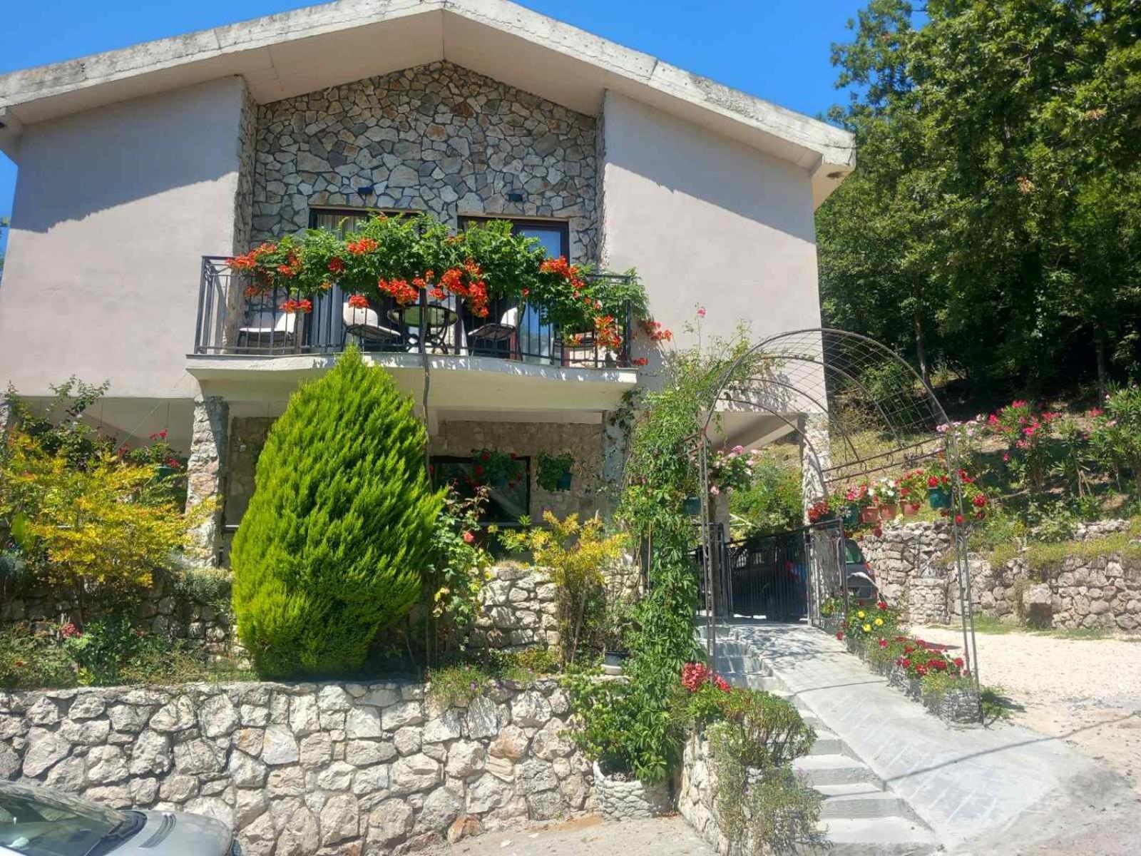 Dado Apartment Virpazar Exterior photo
